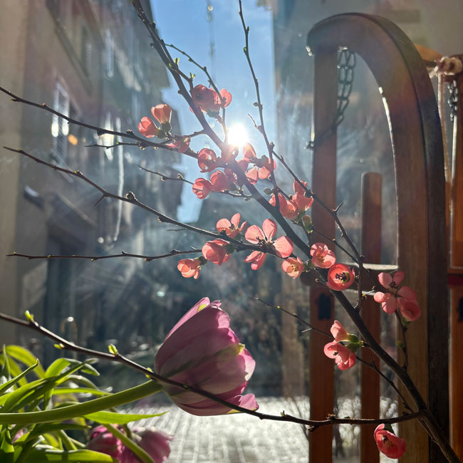 Urs Bergmann Florist Storefront